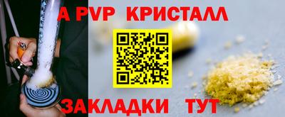 молекула духа Владивосток